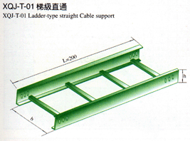 XQJ-T1-01梯级式直通桥架